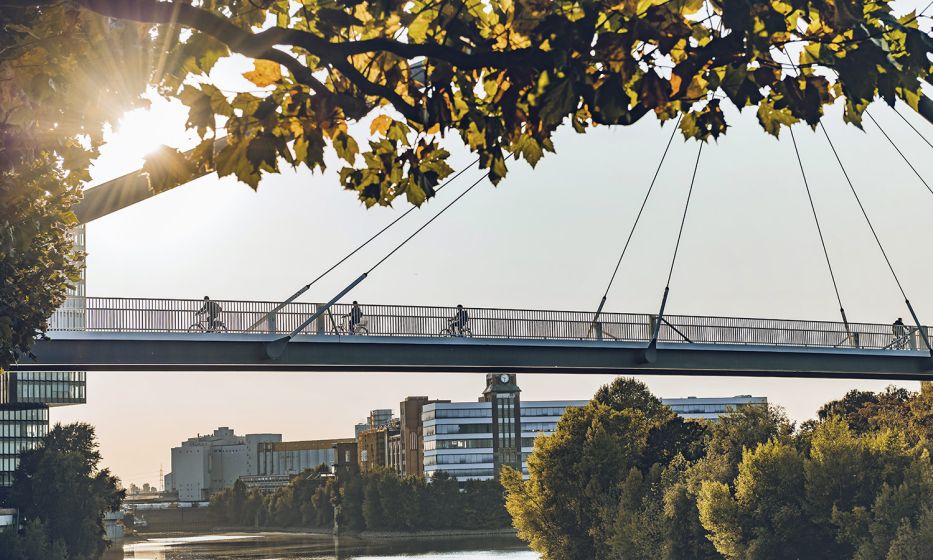 brigde